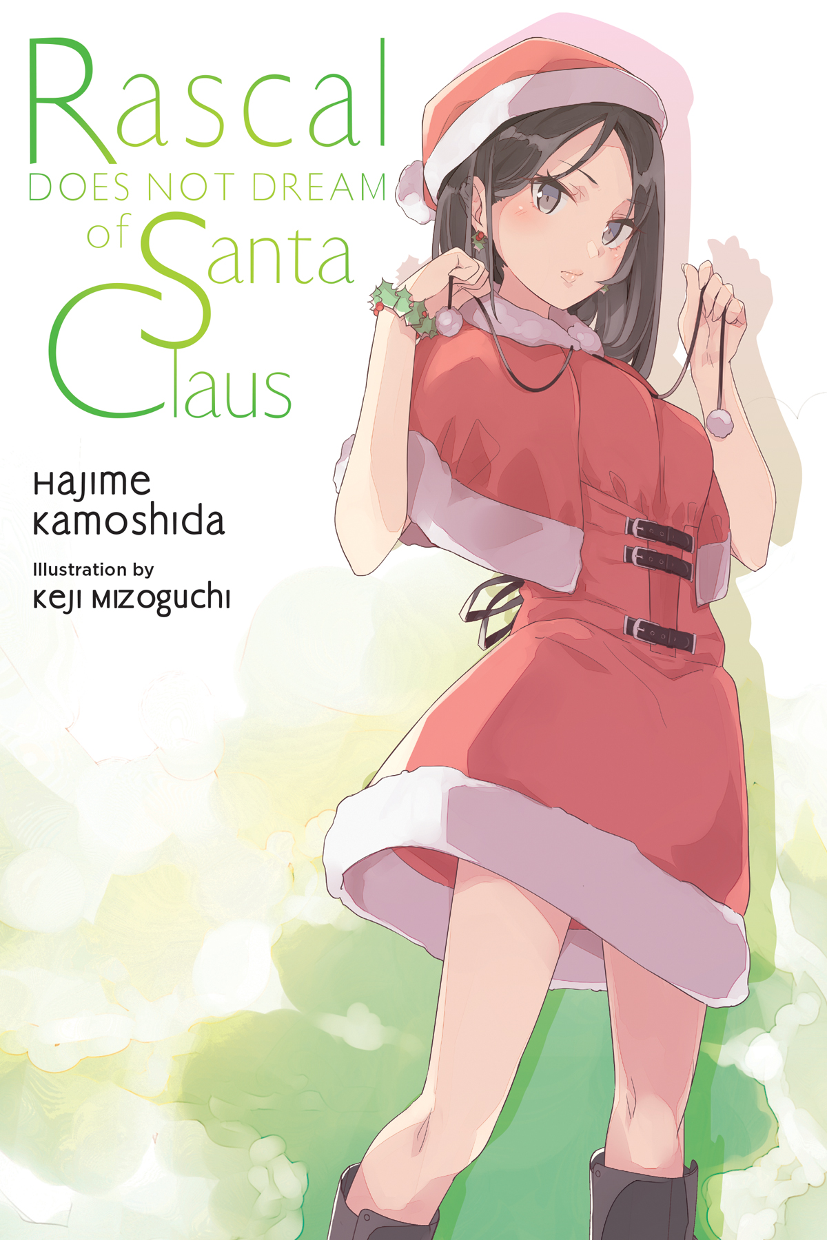 Rascal Does Not Dream of Santa Claus