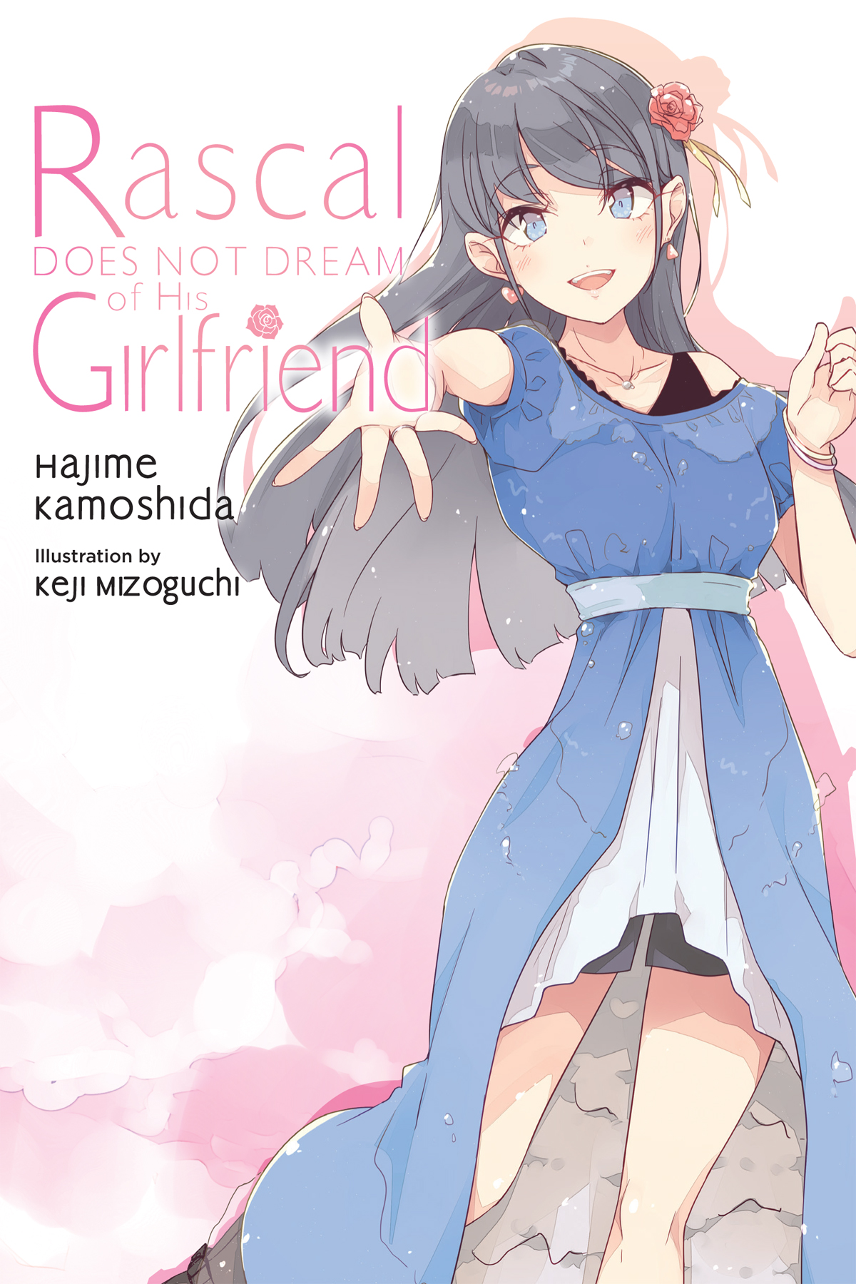 Rascal Does Not Dream of Girlfriends